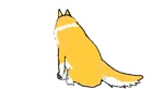 animated cat gif